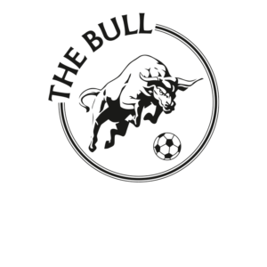 The Bull